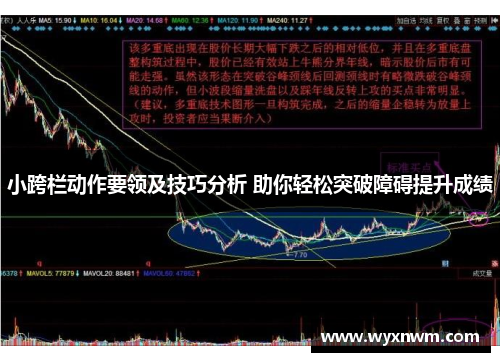 小跨栏动作要领及技巧分析 助你轻松突破障碍提升成绩