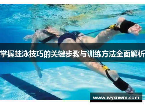 掌握蛙泳技巧的关键步骤与训练方法全面解析