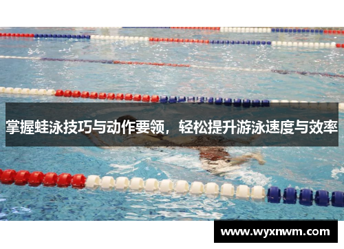 掌握蛙泳技巧与动作要领，轻松提升游泳速度与效率