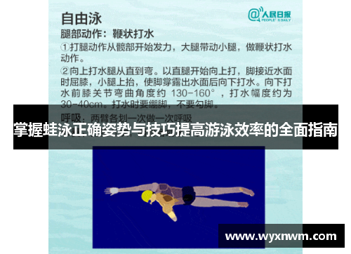 掌握蛙泳正确姿势与技巧提高游泳效率的全面指南