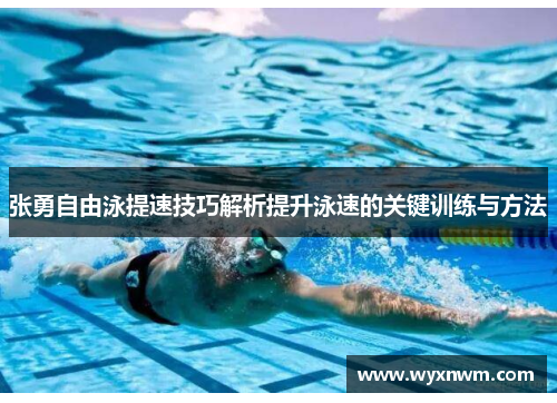 张勇自由泳提速技巧解析提升泳速的关键训练与方法