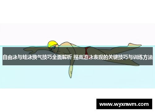 自由泳与蛙泳换气技巧全面解析 提高游泳表现的关键技巧与训练方法
