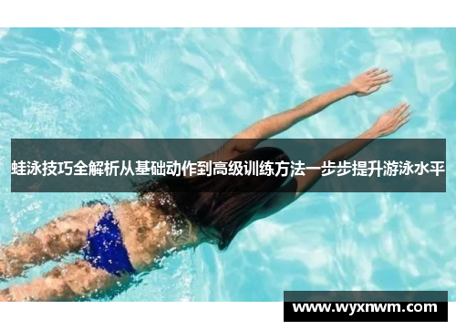 蛙泳技巧全解析从基础动作到高级训练方法一步步提升游泳水平