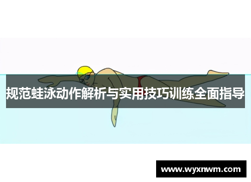 规范蛙泳动作解析与实用技巧训练全面指导