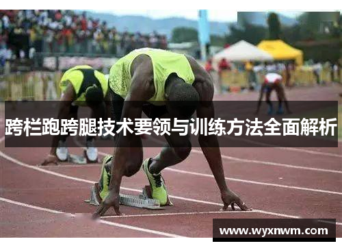 跨栏跑跨腿技术要领与训练方法全面解析
